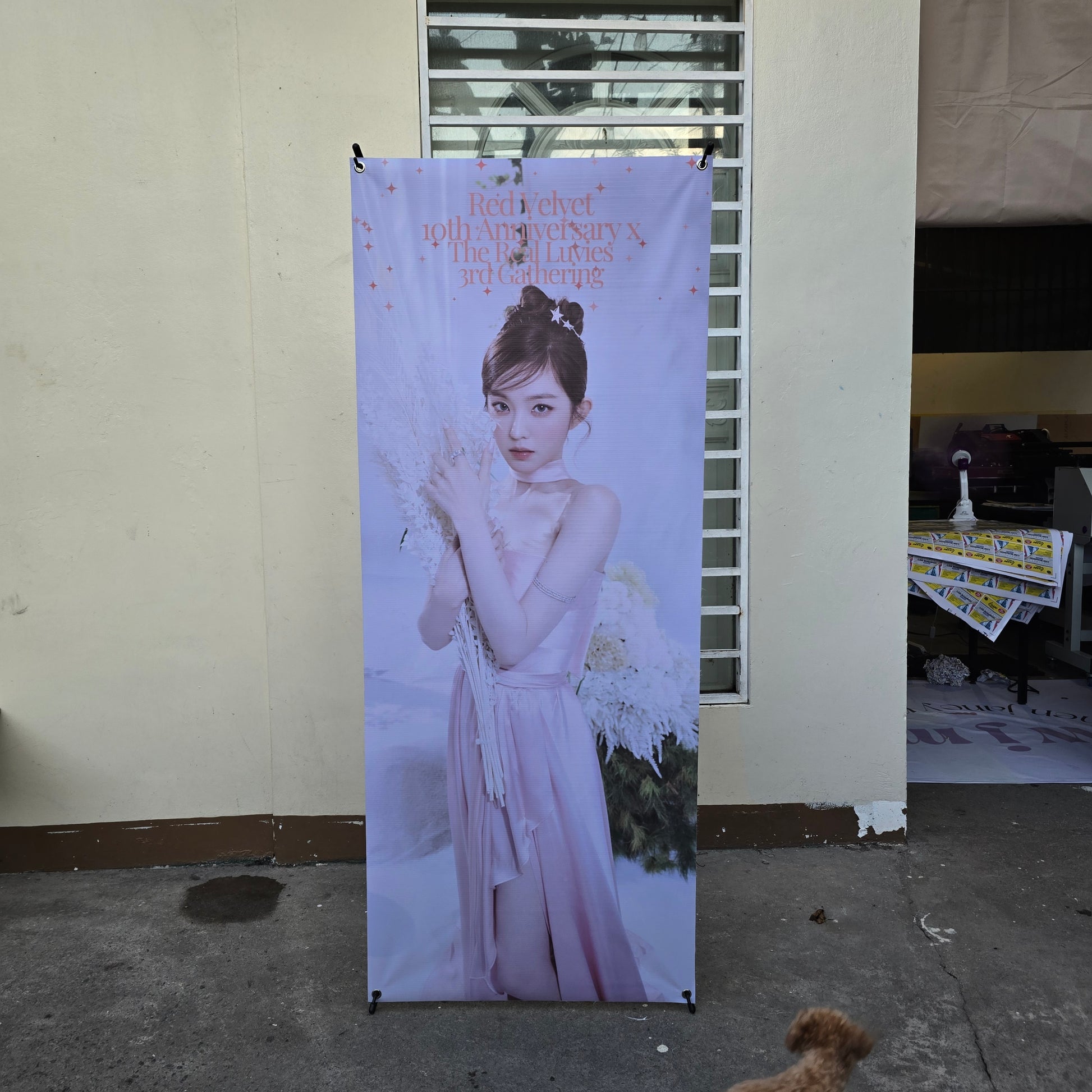X - Banner