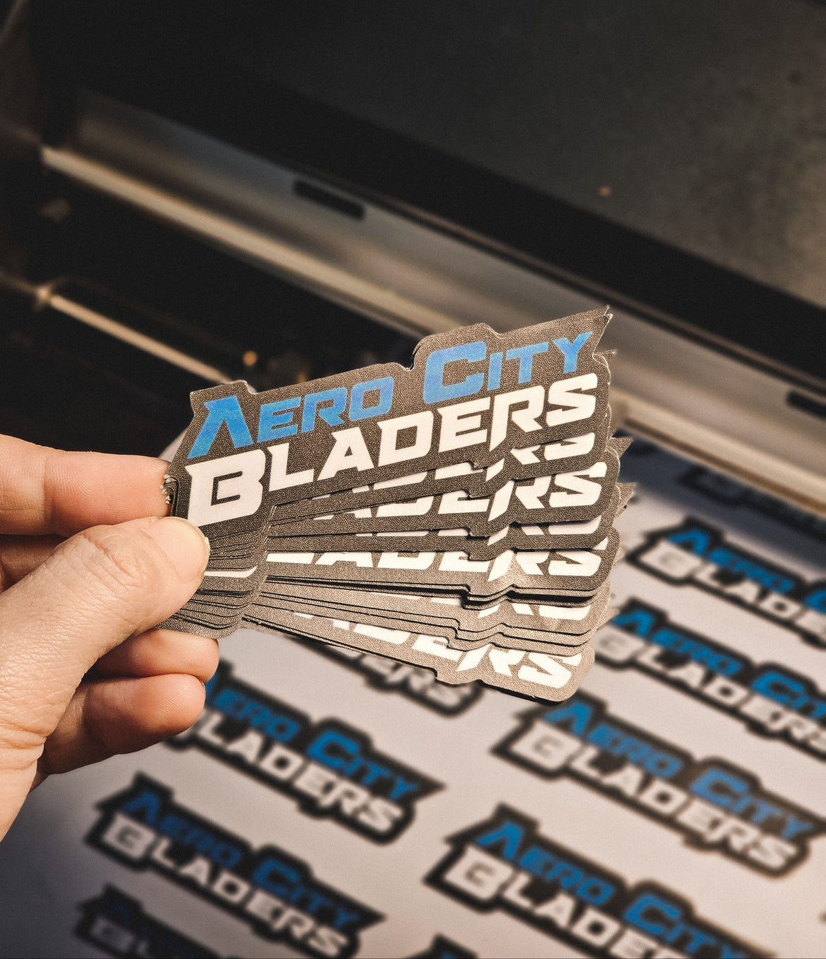 Vinyl Stickers